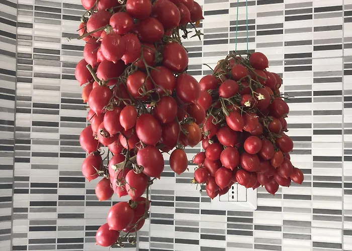 H Friendly Ερκολάνο